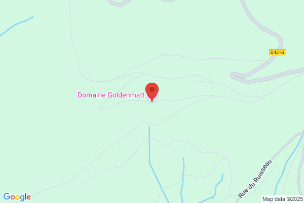 Hotel Goldenmatt