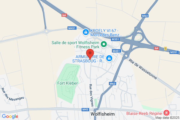 Gestion Analyses Informatiques (Sarl)