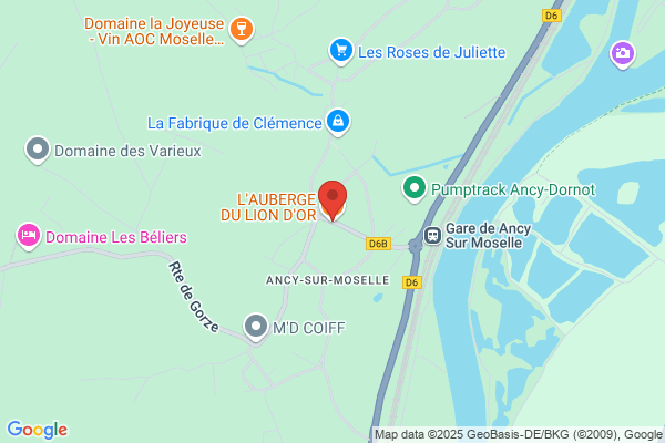 Hotel Restaurant Du Lion D Or