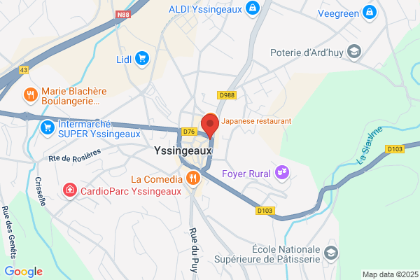 MAAF Assurances YSSINGEAUX