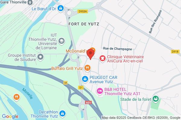 Pacci Automobiles